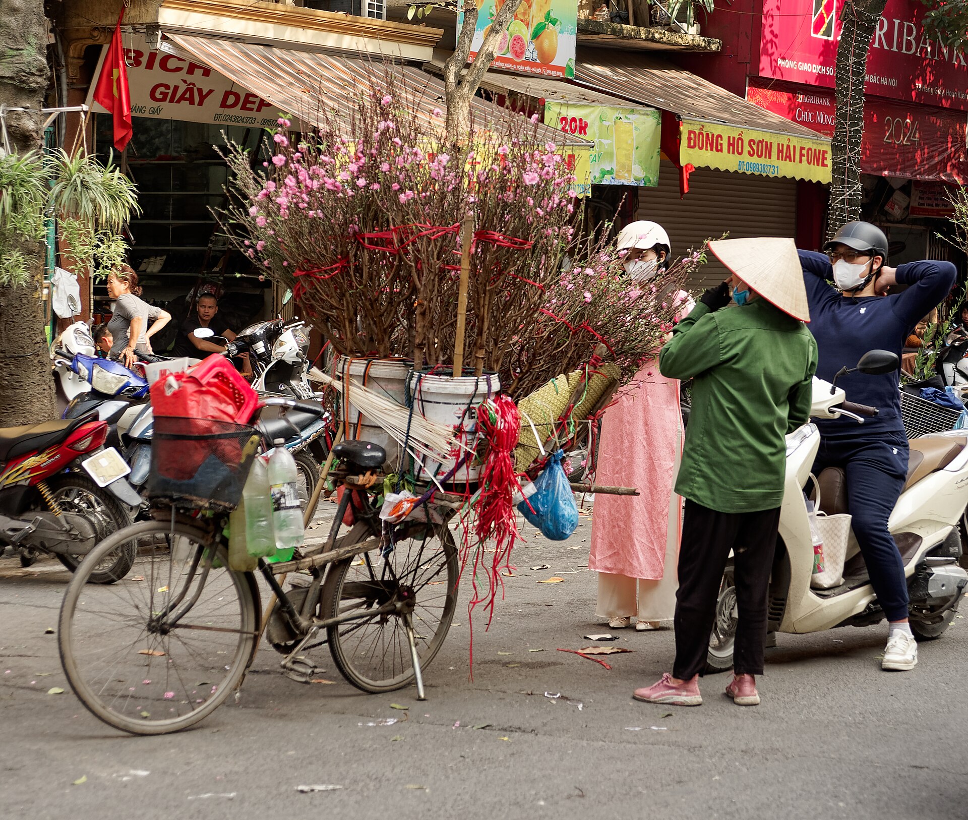 Người bán hoa đào trên phố cổ Hà Nội